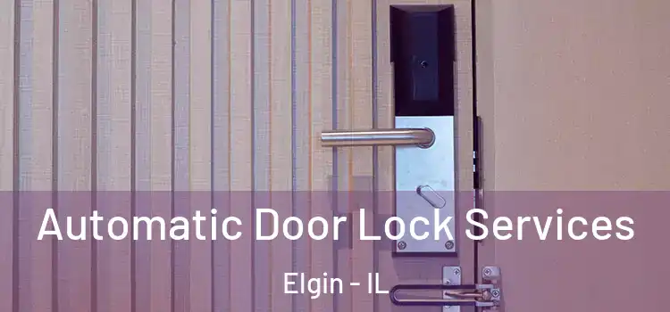 Automatic Door Lock Services Elgin - IL