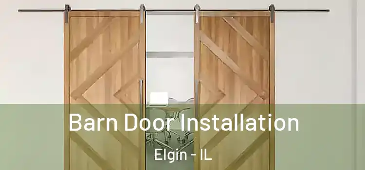  Barn Door Installation Elgin - IL
