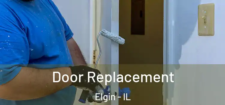  Door Replacement Elgin - IL