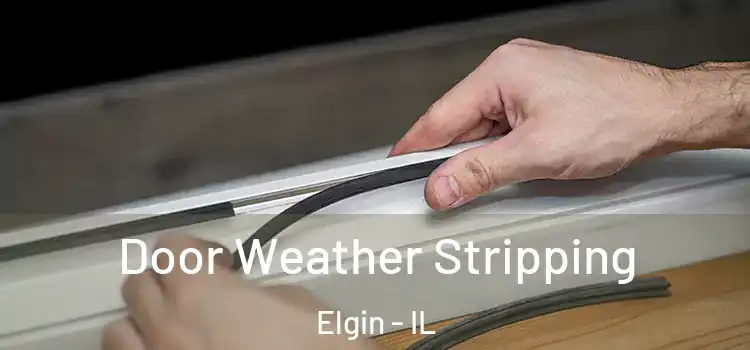  Door Weather Stripping Elgin - IL