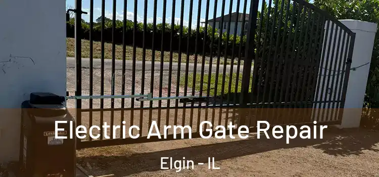 Electric Arm Gate Repair Elgin - IL