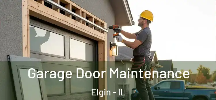 Garage Door Maintenance Elgin - IL