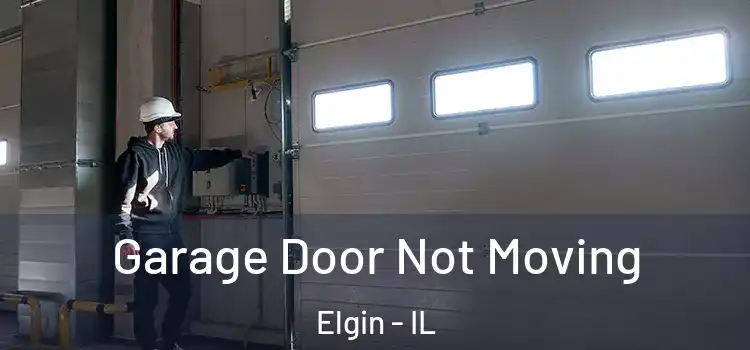  Garage Door Not Moving Elgin - IL