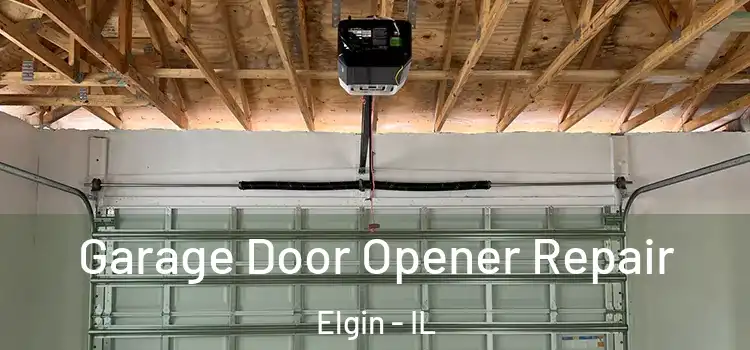  Garage Door Opener Repair Elgin - IL