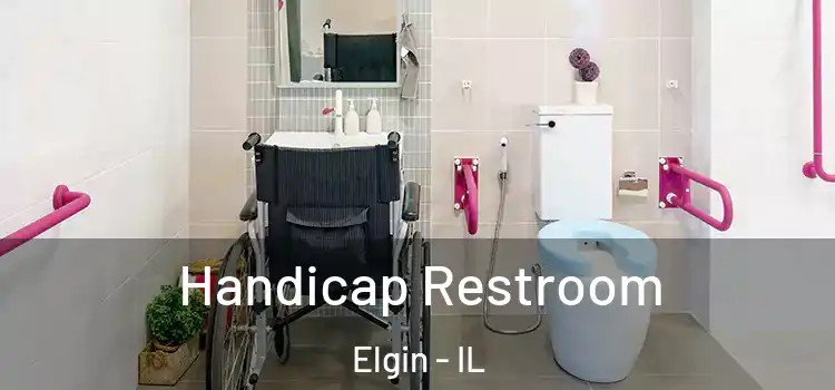 Handicap Restroom Elgin - IL