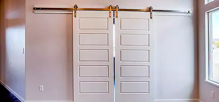 Glass Barn Door with Installation Hardware Kit Elgin