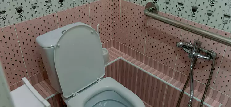 Meeting Diverse Needs With Accessible Restroom Solutions in Elgin, IL