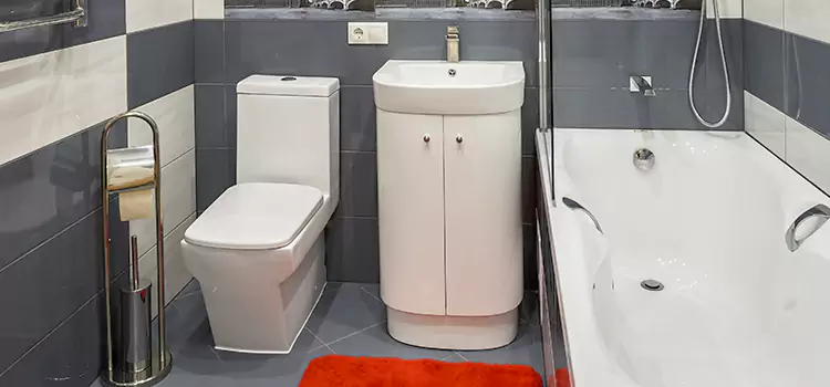 Hansgrohe Shaving Mirror Elgin
