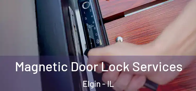  Magnetic Door Lock Services Elgin - IL