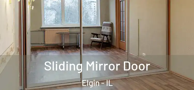  Sliding Mirror Door Elgin - IL